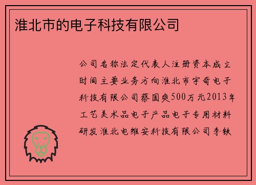 淮北市的电子科技有限公司